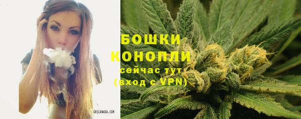 соль курить ск Богородск