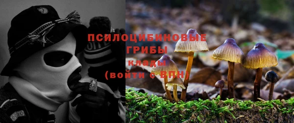 соль курить ск Богородск