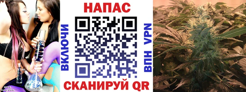 Шишки марихуана Ganja  Шахунья 